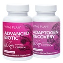 Vital Plan Imunska podpora dopolnila Dr. Bill Rawls – Immune Boost Bundle w/Japonski Knotweed, Cat's Claw, kitajski Skullcap & Reishi goba