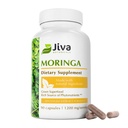 Jiva Botanicals Moringa Leaves Extract kapsule - narejene iz Moringa Leaf Powder in Oleifera dodatek za podporo imunskega in normalnega sklepa - 90 kapsul (paket po 1)