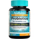 NewRhythm Probiotics 120 milijard CFU 36 sevi, 3- v-1 probiotiki za digestivno zdravje in imunske podpore s prebiotiki in encimi, probiotiki za ženske in moške, ciljno sproščanje, 60 Veggie Caps