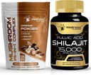 Wellness LABSRX gobe prašek 2000mg - Shilajit Pure Himalaan 15.000mg kapsule
