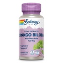 SOLARAY Ginkgo Biloba Extract z Gotu Kola - Ginko Biloba Kapsule za podporo za zdravje možganov - Vegan, Lab preverjeno, 60-dnevno jamstvo - 60 Serving, 60 VegCaps (60 VegCaps)