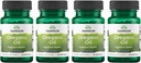 Swanson Origano Oil 10:1 Extract - Naravni dodatek za spodbujanje prebavnega zdravja in dihalne podpore - Podpira gastrointestinalni sistem in urinarni trakt zdravje - (120 Softgels, 150mg vsak) (4 Pack)