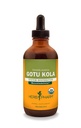 Herb Pharm Certified Organic Gotu Kola Tekoči ekstrakt za podporo mišično-skeletnemu sistemu - 4 Ounce