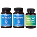 Zentastic 2 Pack 4- v-1 Magnezijev kompleks - kelirani magnezijev glicinat, malat, Taurat & Laktate & 1 Pack probiotiki in prebiotiki dodatek