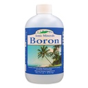 Eidon tekoče boron kapljice - Ionic Mineral Boron dodatek, Essential Element za podporo zdravja možganov, Biorazpoložljiv, Brez konzervansov ali dodatkov - 18 oz
