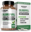 Ugodne kapsule klorofila 350 mg - 100% naravne + ultraklorofil 20x Moč koncentracije za povečanje energije, imunske podpore, notranji deodorant, zdravje kože, ne- GMO, 120 kapsul