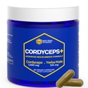 Kapsule Gobe Cordyceps - 1000mg Izvleček iz Cordyceps & 125mg Izvleček iz jerba Mate - 100% sadne gobe za telo - podpira moč možganov in kognitivno zmogljivost - 60 kapsule Yerba Mate