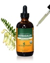 Herb Pharm Certified Organic Astragalus Tekoči ekstrakt za podporo imunskega sistema - 4 Ounce