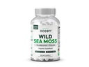 Organics Ocean Wild Sea Moss Kapsule - 100% Organic Irish Sea Moss z organskim klorolom, Bladderfrack in vitamin D za energijo, pljučno zdravje in ščitnico Podpora za ženske in moške - 60 Kapsule