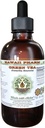 Havaji Pharm Green Tea Alkohol-free Liquid Extract, Organski zeleni čaj (Camellia Sinensis) Suhi list Glicerit Naravni zeliščni dodatek 2 oz