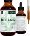 Echinacea 4 fl oz Liquid Extract - Organski koren, list, cvet, semena - Naravni zeliščni dodatek - telo, Imunski sistem Podpora Tinktura - Visoka moč kapljice - 90-dnevno oskrbo - Družinska velikost