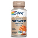 SOLARAY fermentirane gobe Cordyceps 1000 mg - Zdrava energijska podpora - Fermentirana za izboljšano absorpcijo - Veganska, ne-GMO, laboratorij preverjen - 30 Serving, 60 VegCaps