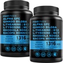 12-v-1 nootropični možganski dodatek brezvodni: Ginkgo Biloba za podporo možganov, spomin in fokus - B12, Alpha GPC, L Teanin in holine dopolnila z bioperinom, ki ni kofein 1321mg (120ct)