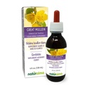 Naturalma Great Mullein ali navadni Mullein (Verbascum tapsus) Cvet in list Alkohol brez tinkture - 4 fl oz Tekoči ekstrakt v kapljice - Zeliščni dodatek - Vegan