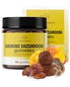HERBAMA Imunska podpora goba Gumies - Multi goba mešanica kompleks za antioksidant podporo - Vegan, non-GMO imuniteta dodatek - 60 pektin-based mango-flavored žveči