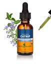 Herb Pharm Certified Organic Catnip Liquid Extract za podporo pomirja živčevje, 1 Fl Oz