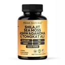 Shilajit 10.000mg, Irish Sea Moss 2000mg, Ashwagandha 3000mg, Tongkat Ali 30.000mg, Boron, Magnezij, PQQ & več 