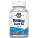 KAL Magnezij Orotat 200 mg, superior Absorpcijska formula, kelirani magnezij za zdrave kosti, zobe, živčne in mišične funkcije, vegetarijansko, ne-GMO, Gluten prost, 30 Serving, 120 VegCaps