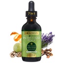 Go Nutrients Intestinal Edge – Gut Čiščenje za ljudi z Wormwood, Black Walnut, Clove - Detox Tekoči za ženske, moške, otroke in odrasle - Organic Herbal Support for Digestion & Wellness – 2oz