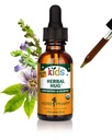Herb Pharm Organic Kids Zeliščni Objem: Živčni sistem Podpora z lobanja, Pasijonka, Mullein & Oat Seme 