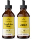 HERBAMAMA Zeliščne tekoče kapljice Kit - Bundele of Dandelion Root in Mullein Leaf Tinkture 4 fl oz - Vegan, Non-GMO, Sugar & Alkohol-free - 2 paket