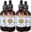 Havaji Pharm Saw Palmetto (Serenoa Repens) Tekoči ekstrakt 4x4 fl.oz