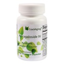 Astragalozid IV 98% 50 mg 30 kapsula proti staranju DNA telomer Astragalus Root Supplements