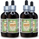 Carline Thistle (Carlina acaulis) glicerit, posušene korenine brez alkohola tekoči ekstrakt (Brand Name: HerbalTerra, Proudly Made in USA) 4x4 fl.oz (4x120 ml)