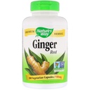 Narava pot Ginger Root 550 mg, kapsule 180ea