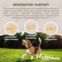 Doggie Condiments Pet Respiratorna podpora Naravni pasji dodatek za optimalno dihanje psov, čistih Sinuze, Kašljanje, Sneesing in prebavne olajšave za pse