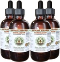 Cimet brez alkohola tekoči ekstrakt, cimet (Cinnamomum Verum) posušen Bark Glycerite Havaji Pharm naravni zeliščni dodatek 4x4 oz