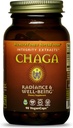 HealthForce SuperFoods Izvlečki integritete Chaga – kapsule - 90 veganskih kapsul