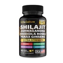 Shilajit Ashwagandha Rhodiola Rosea Panax Ginseng - za moške in ženske - kapsule Shilajit - 60 kapsul Veggie