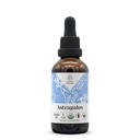 Astragalus USDA Ekološki alkohol brez izvlečka 