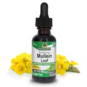 Narava odgovor Mullein Herb - Mullein Leaf Extract za pljuča - Alkohol brez gensko spremenjenih organizmov, Izdelano v ZDA - Podpira dihalne funkcije in spodbuja zdrave pljuča - Mullein Leaf 1 Ounce Extract
