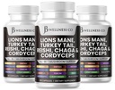 Levi Mane dodatek Kognitivna podpora, Imunsko zdravje s Turčijo Tail 20in1 Gobe Reishi Cordyceps Chaga z Marshmallow koren -180 grof