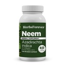 Zeliščaforever Neem Kapsule Azadirachta Indica Kožna dopolnila 60 Zeliščne kapsule