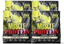 COLOSSAL LABS Muscle Whey Protein Aroured Protein Powder, 25.000 mg aminokislin/serviranje, hladno filtrirana (Packageing May Vary) (20 Pound (Pack of 4), Vanilla)