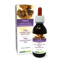 Naturalma Chaga (Innonotus obliquus) Fungus ali gobe brez alkohola Tinktura - 4 fl oz Tekoči ekstrakt v kapljicah - Zeliščni dodatek - Vegan