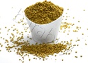 Vilmark BEE Pollen 100% čista naravna neobdelana čebela Pollen zrnce 5 lbs, rumena, pakiranje po 1