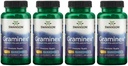 Swanson maksimalna moč Graminex Cvet Pollen Extract - podpira zdravje prostate, delovanje urinarnega trakta, in zdravje ledvic - Mens Health Supplement - (60 kapsule, 500mg vsak) (4 pakiranje)