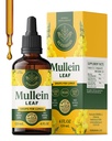 HERBAMA Mullein Kapljice za pljuča - Vegan Lung čiščenje z Mullein Leaf Extract, Echinacea Tincture & Licorice - Non-GMO, Alkohol & Sugar-free Respiratory Supplement - 56-dnevna oskrba