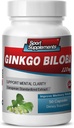 Možganski dodatki za spomin in fokus - Ginkgo BILOBA 120MG - Gingko biloba Rastlina, Fokus Dopolnila za odrasle, Gingko biloba Dopolnila, Ginko biloba Pills Natural, Spominski dodatek - 1B 60 Caps