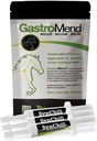 Synchill 3 Pack + GastroMend paket za konje - celovito zdravje želodca in vedenje podpora, Aids in Gastric Ulcer Relief, spodbuja mirnost in osredotočenost, vse naravne, stroškovno učinkovito