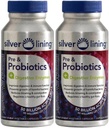 Silver Lining Pre & Probiotics + Prebavni encimi 
