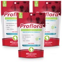 Proflora Probiotic Soft Chews for Psi - Veterinarsko-močni dnevni probiotik - Prebava zdravje - Poživi imunski sistem - Koža in plašč zdravje - 180 Soft Chews