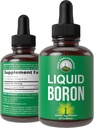 Liquid Boron dodatek za moške in ženske. Rudani v ZDA. Vegan + Ionic Trace mineralne kapljice z visoko biološko razpoložljivostjo za kosti, skupno zdravje. Nič sladkorja, nič grenkega okusa. Boron Complex dopolnila