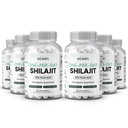 Organics Ocean One-Per-Day Shilajit za moške in ženske - naravne in močne Shilajit dodatek za starost Defaying, kosti moč, Hormone podpora in več - 6 steklenice Shilajit kapsule