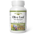 HerbalFactors by Natural Factors, Olive Leaf 500 mg, Natural Wellness Formula, 90 Capsules