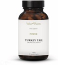 Puran rep gobe dodatek. Dual Extract, čisto sadno telo, 30% polisaharidov, 500 mg, 120 vegetakov (60-dnevna oskrba). Lahko podpira zdravo delovanje imunskega sistema